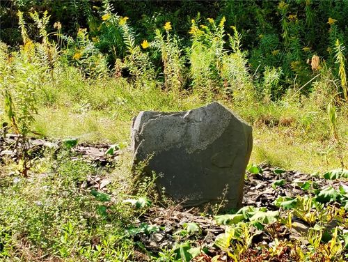 2592 County Highway 8, Otego, NY, 13825 | Card Image