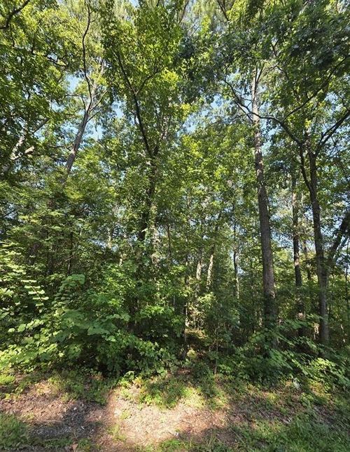 37-34 County Road 249, Leesburg, AL, 35983-3038 | Card Image