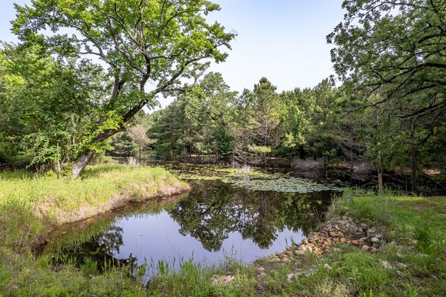 0 Johnson Rd, Home with 0 bedrooms, 0 bathrooms and null parking in Winona TX | Image 9