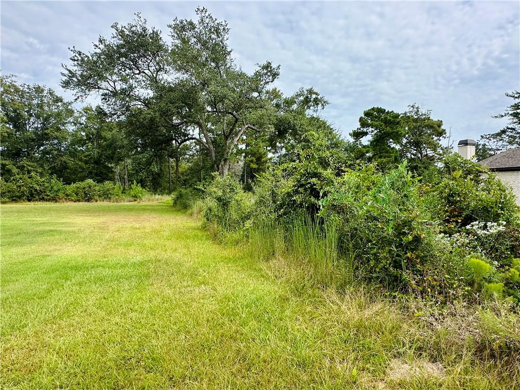 Land in Mobile 2