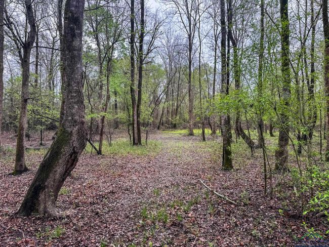 0 E Us Highway 80, Home with 0 bedrooms, 0 bathrooms and null parking in Big Sandy TX | Image 4