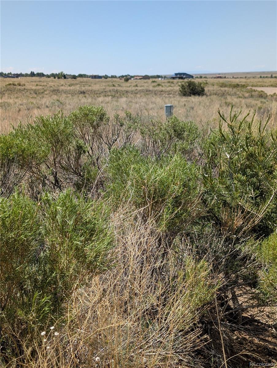 Land in Crestone 4