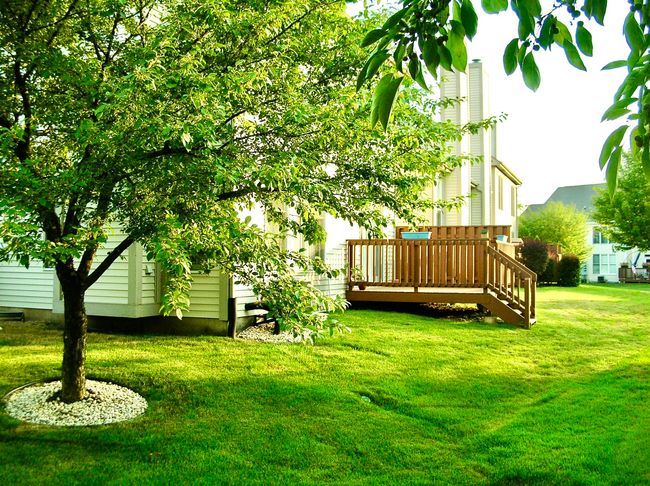1503 Longbranch Ct, Townhouse with 2 bedrooms, 3 bathrooms and 2 parking in Naperville IL | Image 36