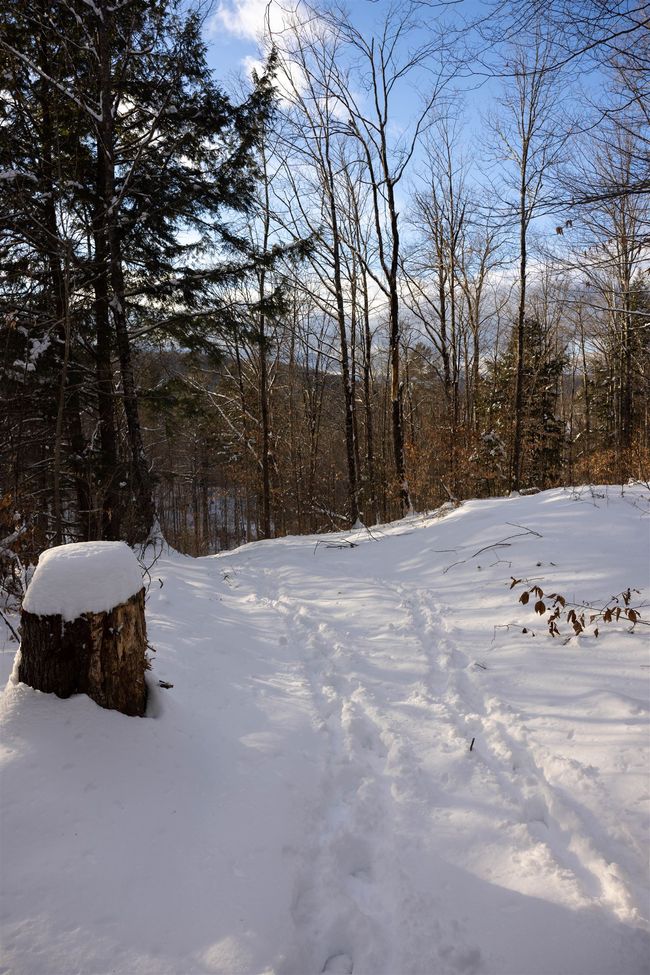 5000 Route 106, Home with 0 bedrooms, 0 bathrooms and null parking in Reading VT | Image 12