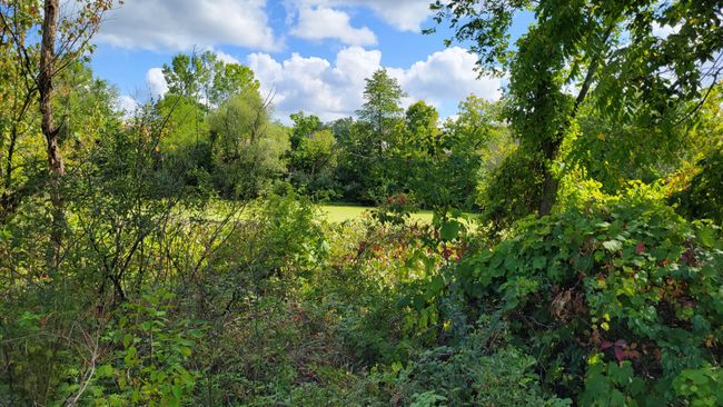 427 N Steer St, Home with 0 bedrooms, 0 bathrooms and null parking in Addison MI | Image 33