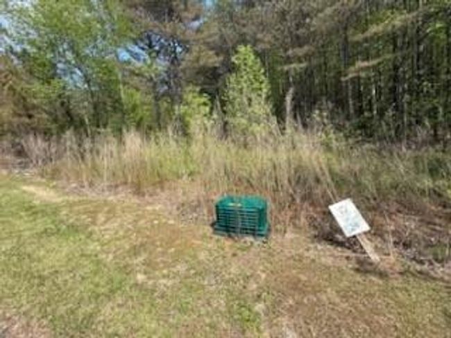 0 Eastside Dr, Home with 0 bedrooms, 0 bathrooms and null parking in Ellijay GA | Image 7