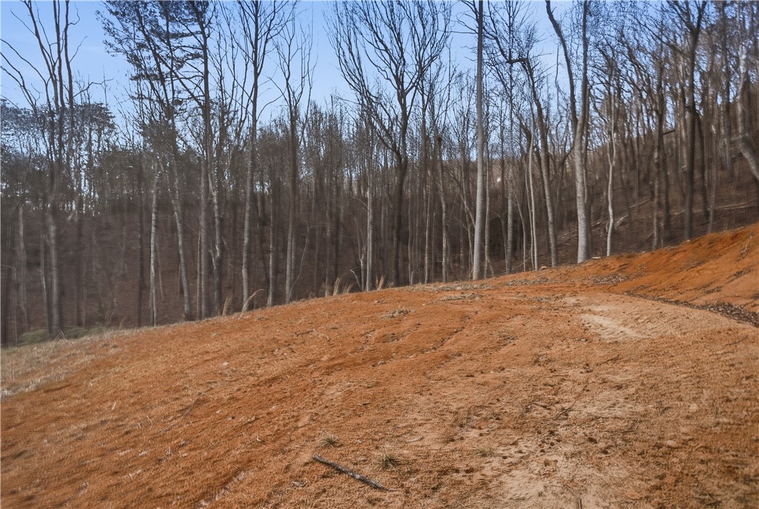 Land in Landrum 4