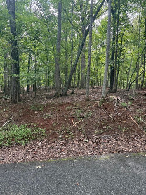 Lot 4 Charmwood Cir Cir, Moneta, VA, 24121 | Card Image