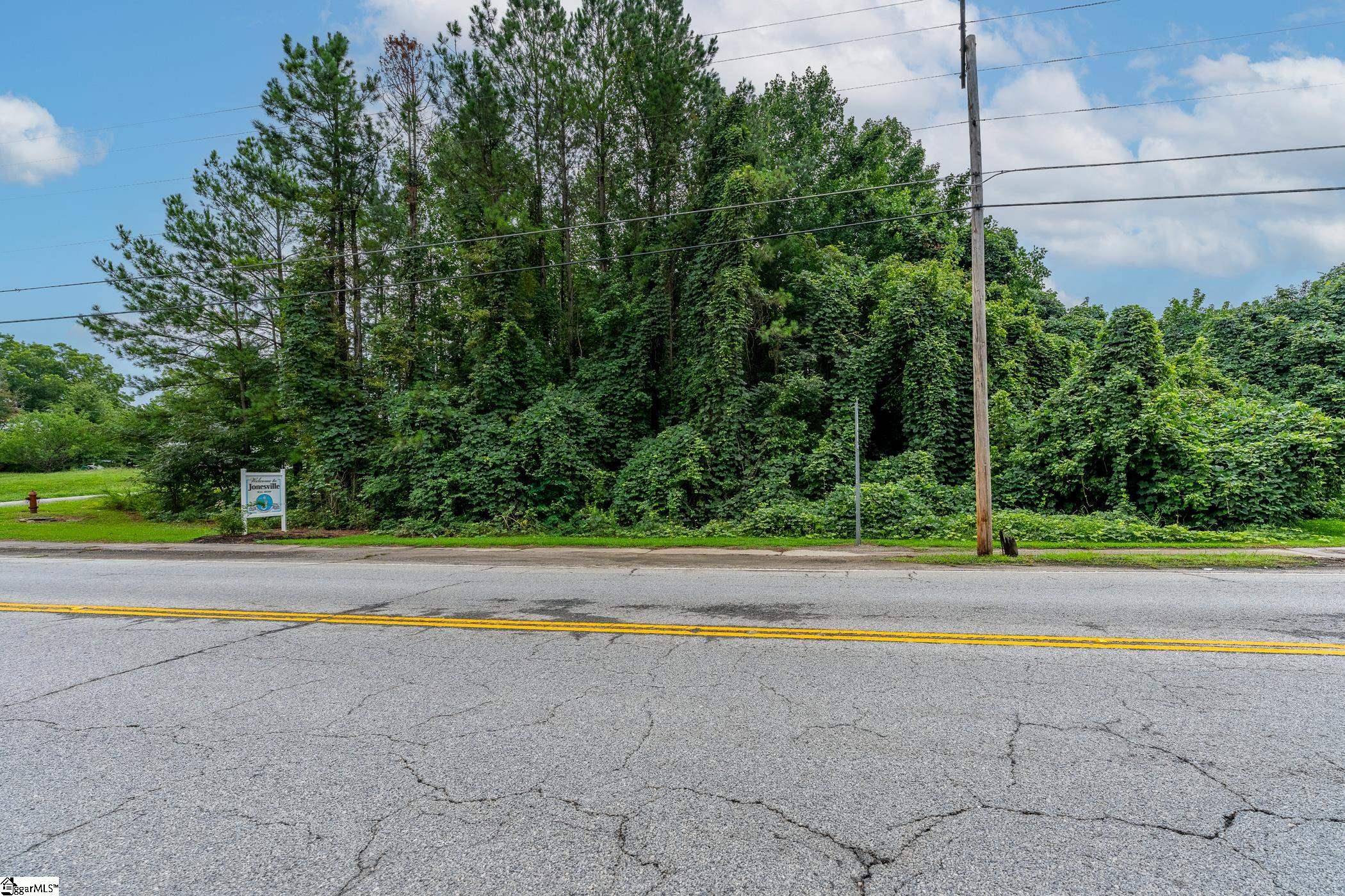 Land in Jonesville 3