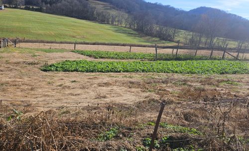 1 Wilburn Hollow Rd, Riddleton, TN, 37151-2206 | Card Image