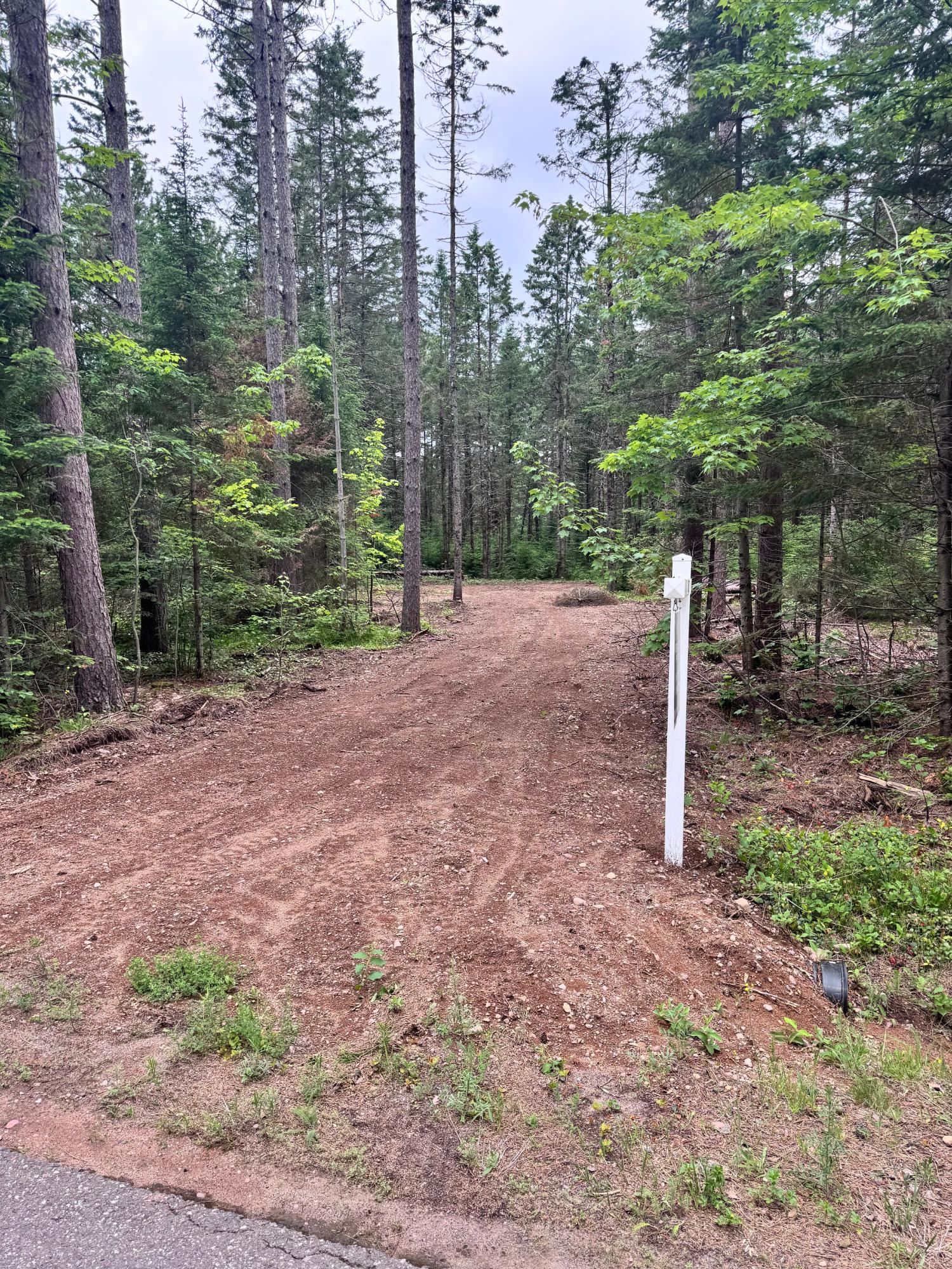 Land in Minocqua 2