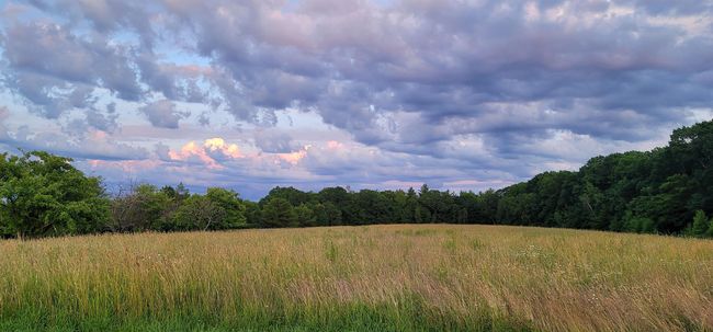 86 Bingham Rd, Home with 0 bedrooms, 0 bathrooms and null parking in Gilmanton NH | Image 5