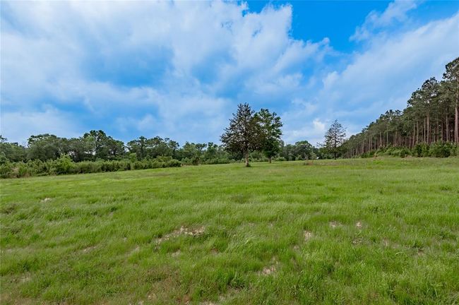 4785 Us Highway 287 S, Home with 4 bedrooms, 2 bathrooms and 3 parking in Crockett TX | Image 12