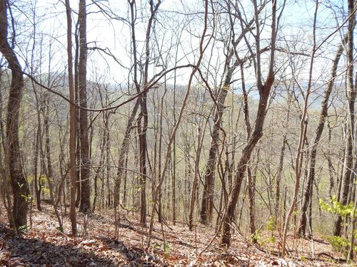 16-18 Burnt Leaf Ln, Hayesville, NC, 28904 | Card Image