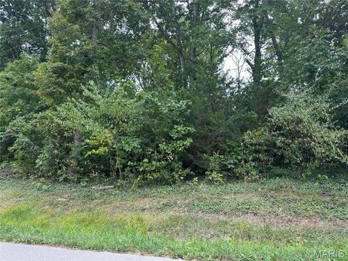 0 Cedar Circle Dr, Sainte Genevieve, MO, 63670 | Card Image