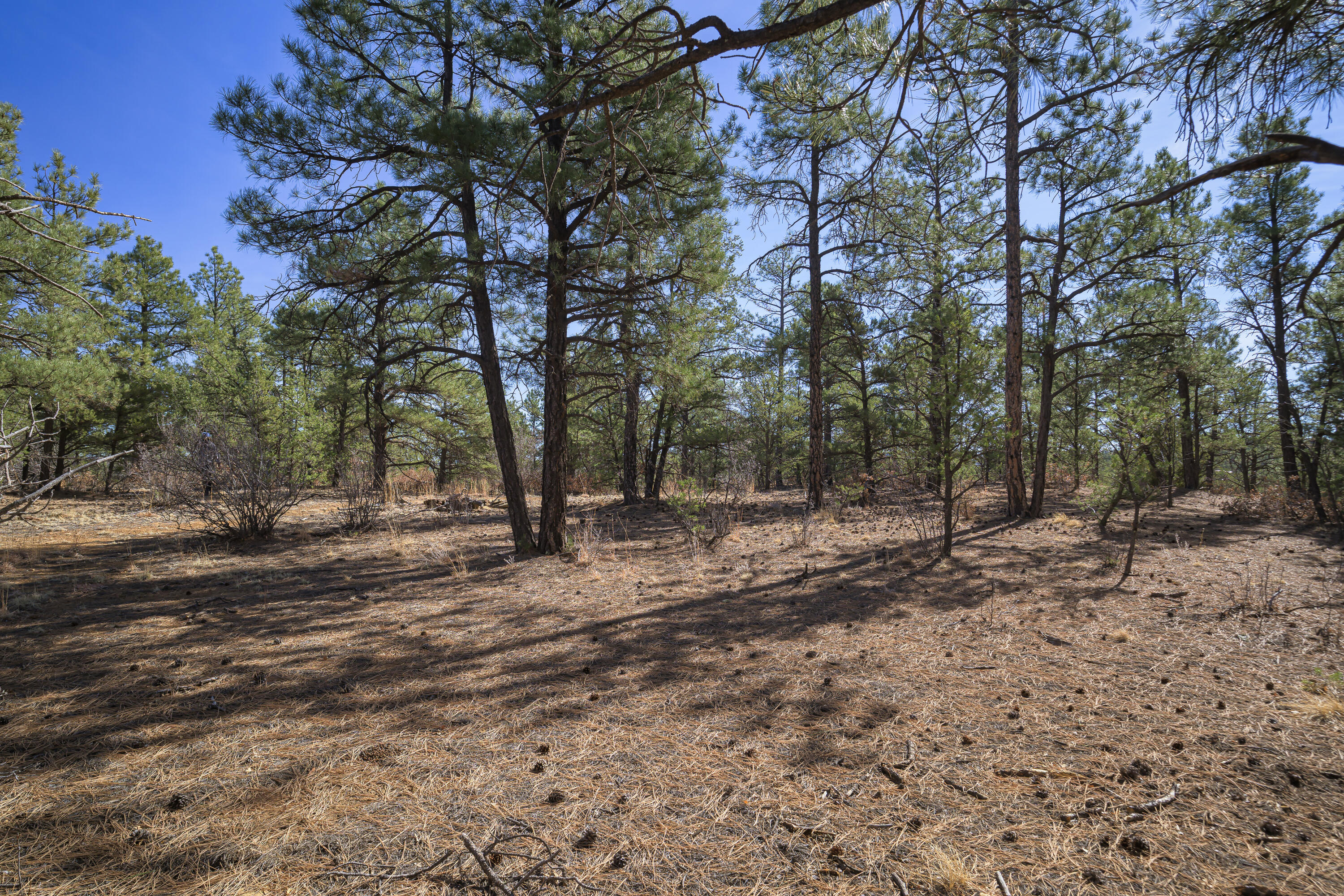 Land in Weston 3