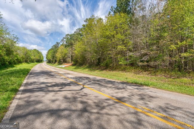0 Skull Shoals Rd, Home with 0 bedrooms, 0 bathrooms and null parking in Washington GA | Image 4