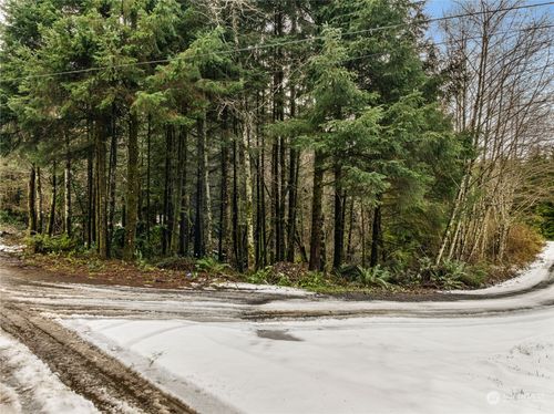 0 X Lyons Ln, Aberdeen, WA, 98520 | Card Image