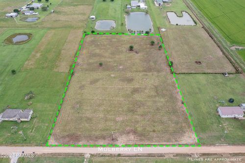 Tbd Mulberry Ln, Iota, LA, 70543 | Card Image