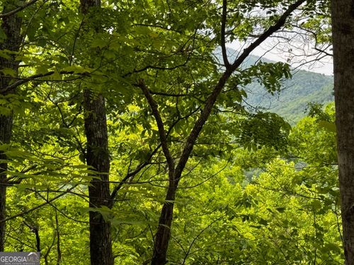 #6 Pounding Mill Connector, Hayesville, NC, 28904 | Card Image