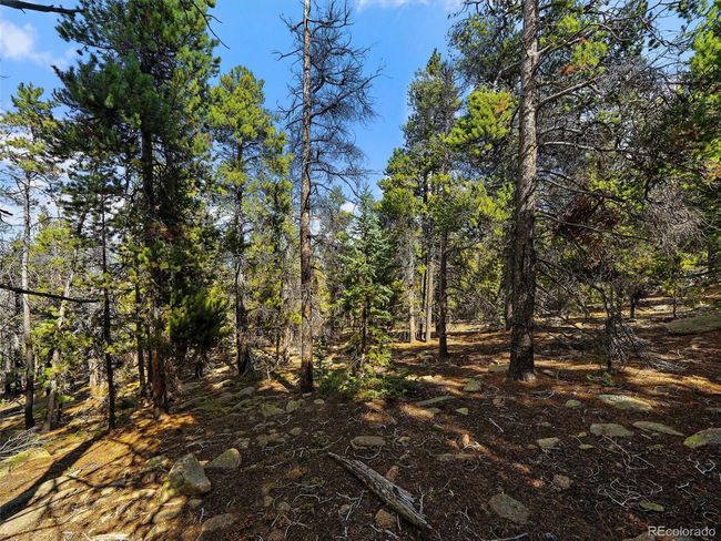 0 Edward Dr, Home with 0 bedrooms, 0 bathrooms and null parking in Conifer CO | Image 11