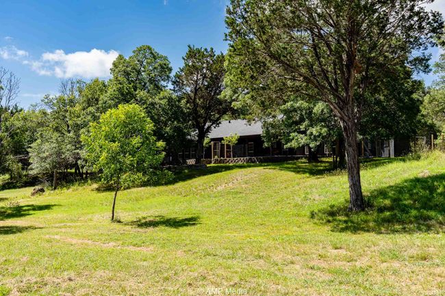 Back Yard | Image 10