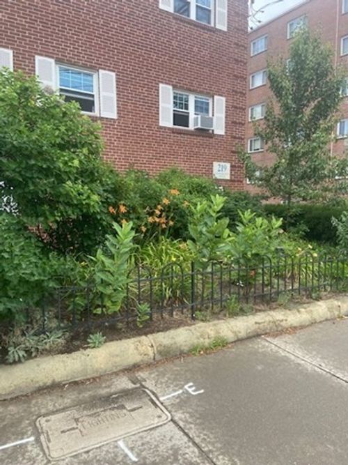 apt-0-219 Massachusetts Ave, Arlington, MA, 02474-8455 | Card Image