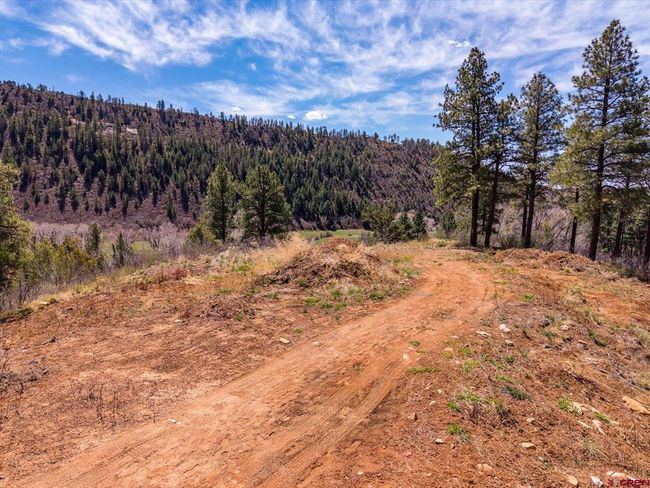 77 Culebra Cir, Home with 0 bedrooms, 0 bathrooms and null parking in Durango CO | Image 24