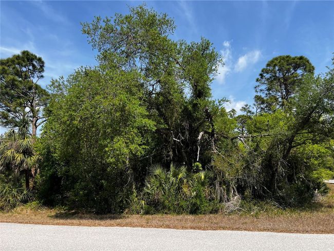17200 Carson Ave, Home with 0 bedrooms, 0 bathrooms and null parking in PORT CHARLOTTE FL | Image 7