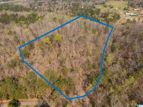 0-12 Acres Allison Lane, Piedmont, AL, 36272 | Card Image