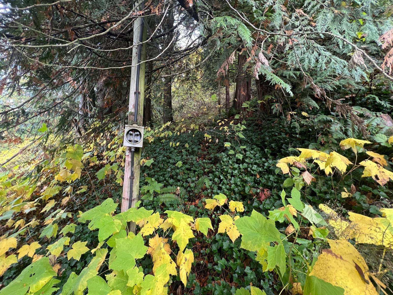 Residential in Cultus Lake 4