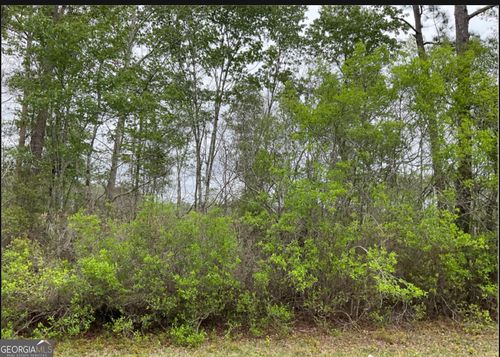 tract-4-0 1601ac, Townsend, GA, 31331 | Card Image