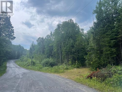 lot-2-N/A Hadlington Road, Highlands East (Monmouth), ON, K0L2Y0 | Card Image