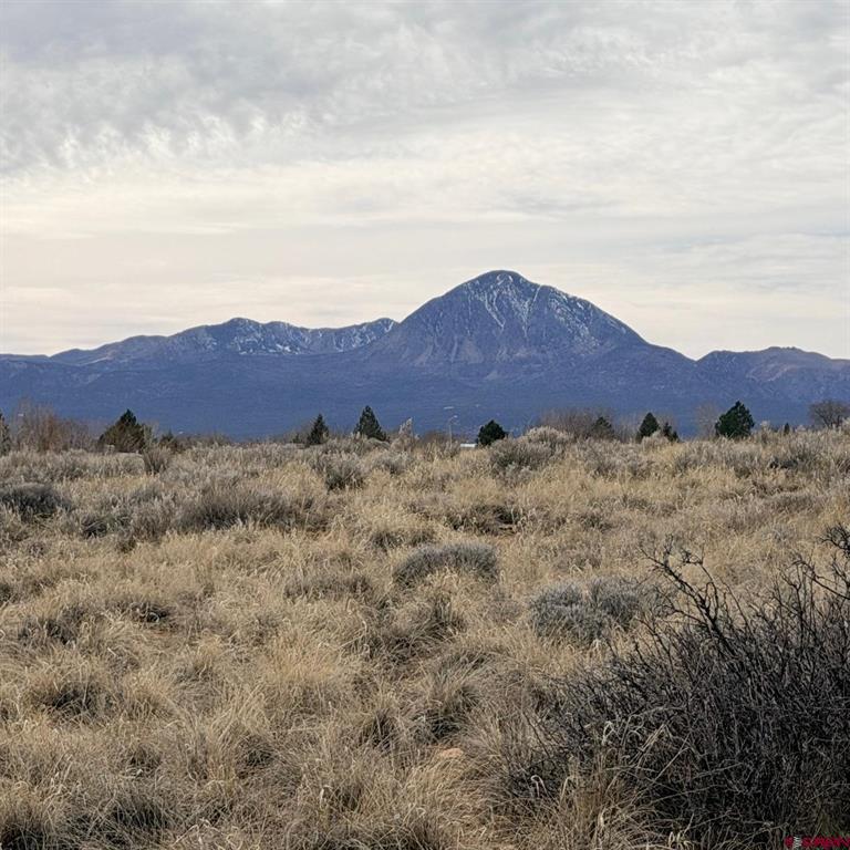 Land in Cortez 2