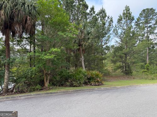 1.12 Big Horse Drive, Waynesville, GA, 31566 | Card Image