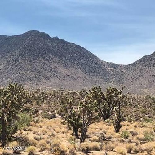 8-XXXX N Mountain Avenue, Wikieup, AZ, 85360 | Card Image