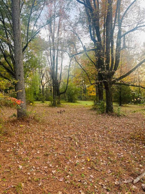 2201 Highway 278 E, Monticello, AR, 71655-9196 | Card Image