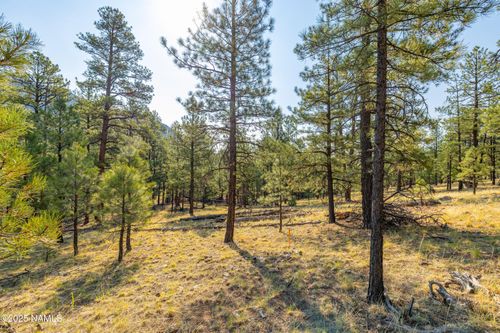 4195 N Subera Ln, Flagstaff, AZ, 86001-1980 | Card Image