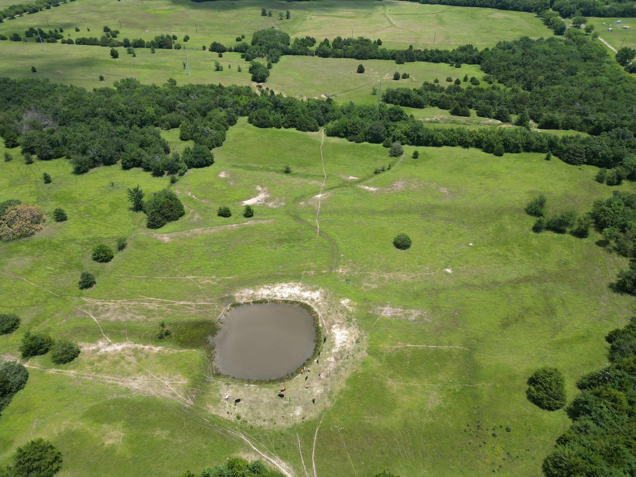 Land in Cumby 3
