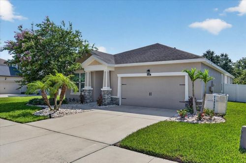 12209 Streambed Dr, RIVERVIEW, FL, 33579-9309 | Card Image