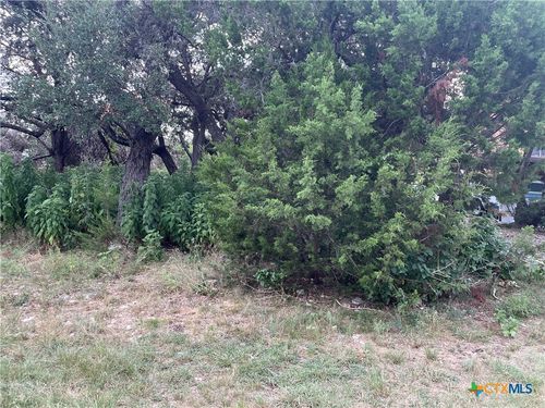 1640 Comfort, Canyon Lake, TX, 78133-4080 | Card Image