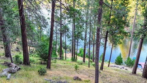 1593-20160 Lower Skyridge Dr, Groveland, CA, 95321-9735 | Card Image