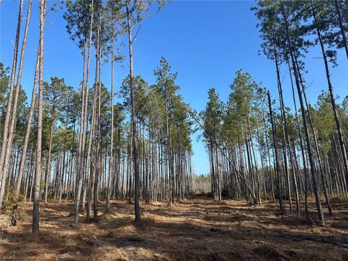 TBD Nw 133rd Path, LAKE BUTLER, FL, 32054 | Card Image