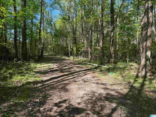 1-0 Railroad Lane, MARGARET, AL, 35112 | Card Image