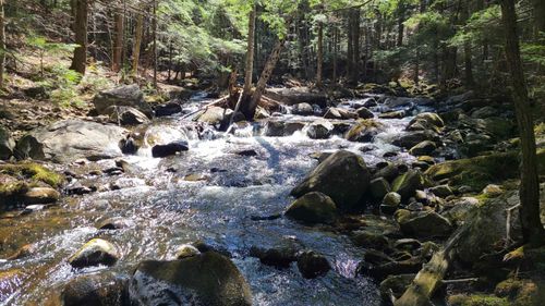 11 Clay Brook Dr, Plymouth, NH, 03264-3402 | Card Image