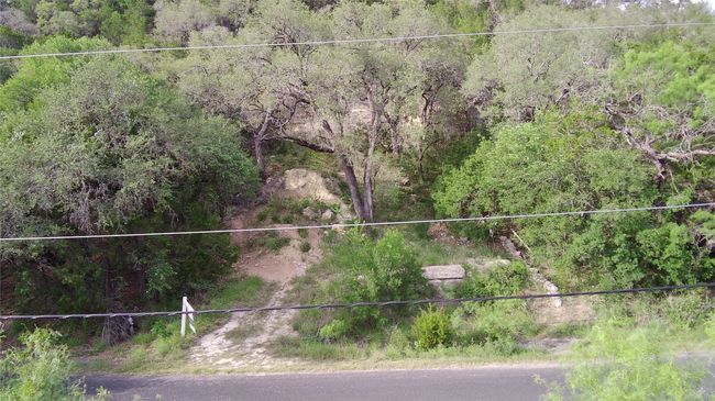 View of yard with a forest view | Image 6