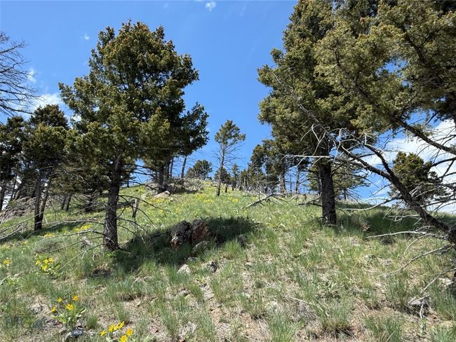 40 High Ore Rd, Home with 0 bedrooms, 0 bathrooms and null parking in Boulder MT | Image 11