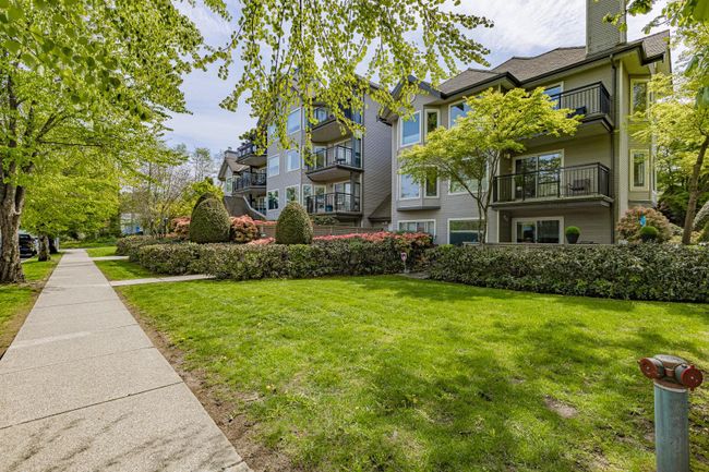 217 - 3770 Manor Street, Condo with 1 bedrooms, 1 bathrooms and 1 parking in Burnaby BC | Image 19