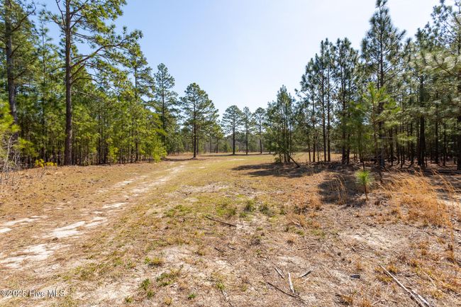 210 Palmer Grey Court, Home with 0 bedrooms, 0 bathrooms and null parking in Aberdeen NC | Image 6