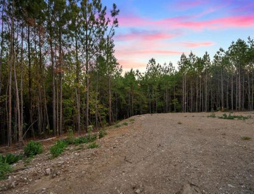 0 Wild Muscadine Trail, Broken Bow, OK, 74728 | Card Image